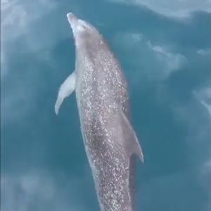 Meet your Posher, Christy